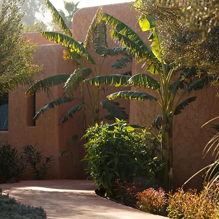 Oasis Lodges El Makina المظهر الخارجي الصورة